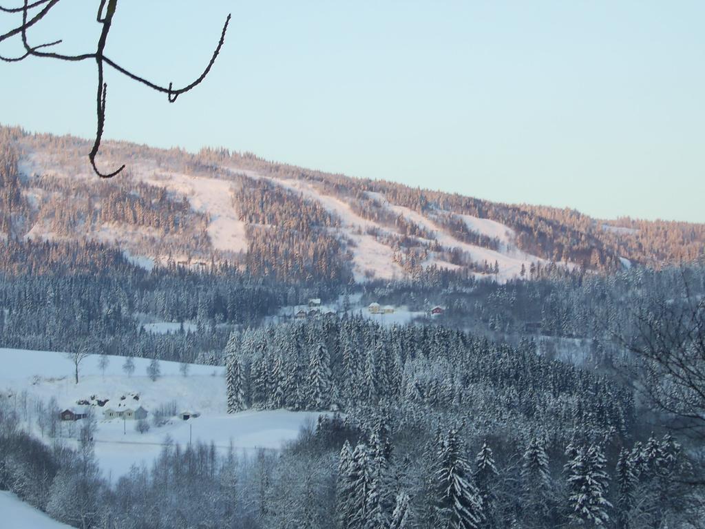 Sogn Gjestegard Svarstad  Rom bilde