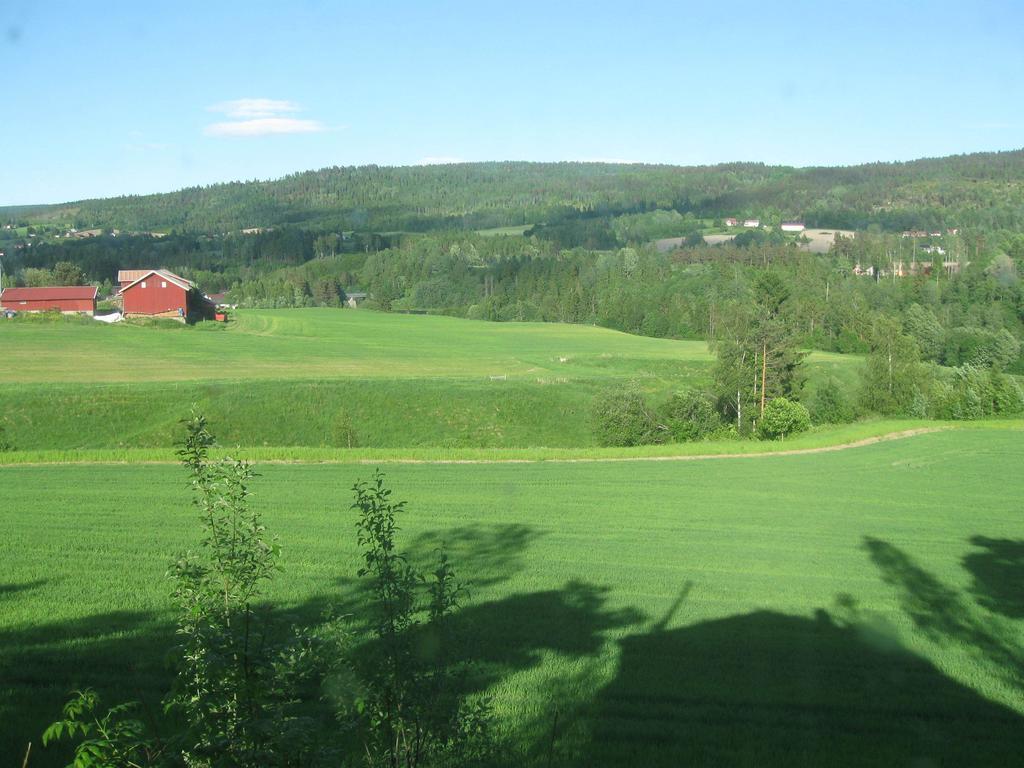 Sogn Gjestegard Svarstad  Rom bilde